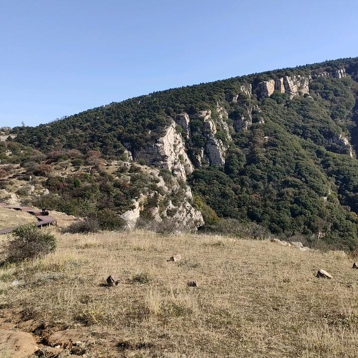 佛系大叔（户外）