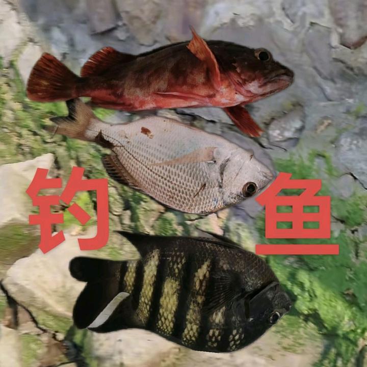 英雄891钓鱼