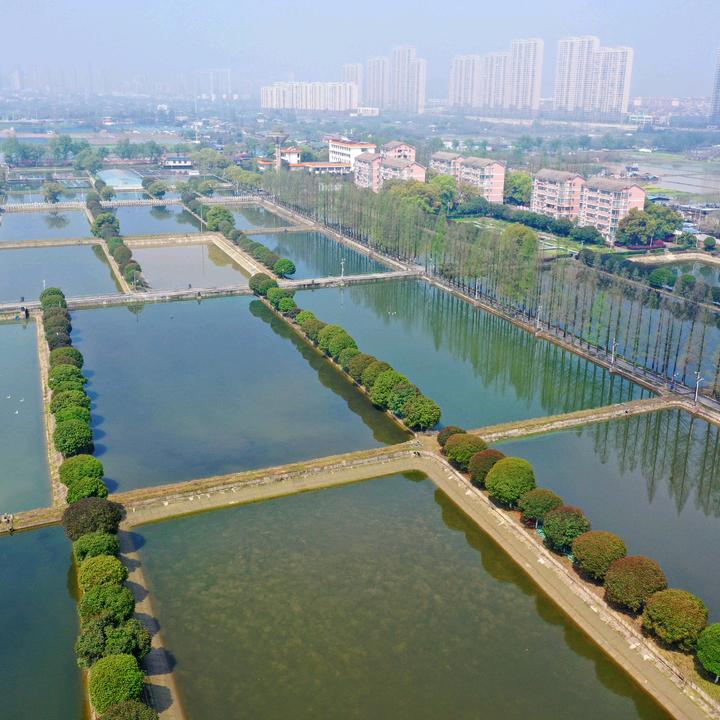 养鱼人阿文