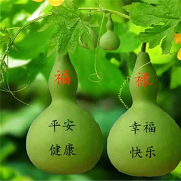 富贵吉祥