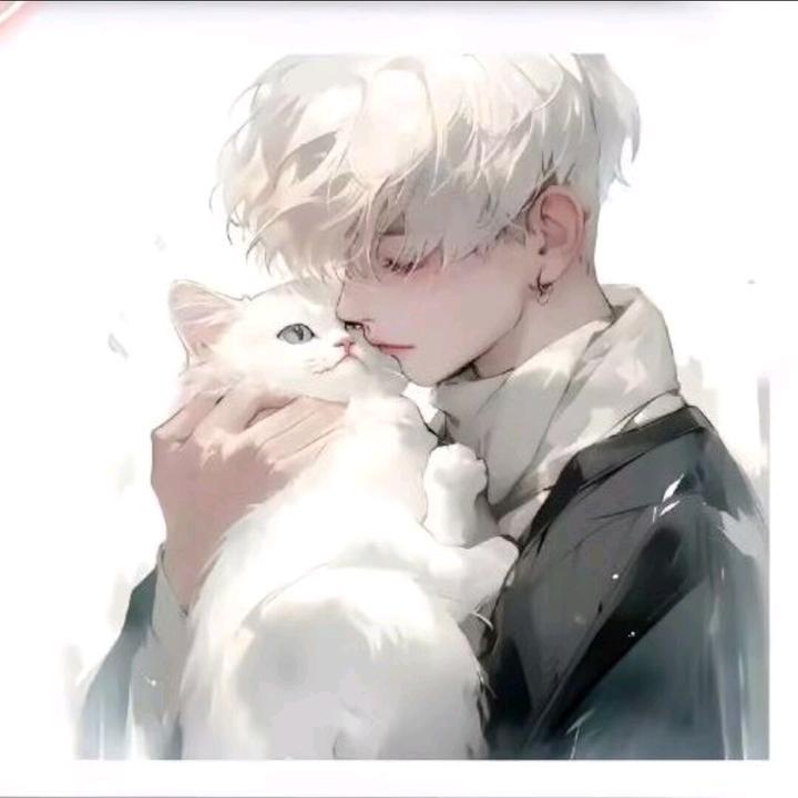 观落洋