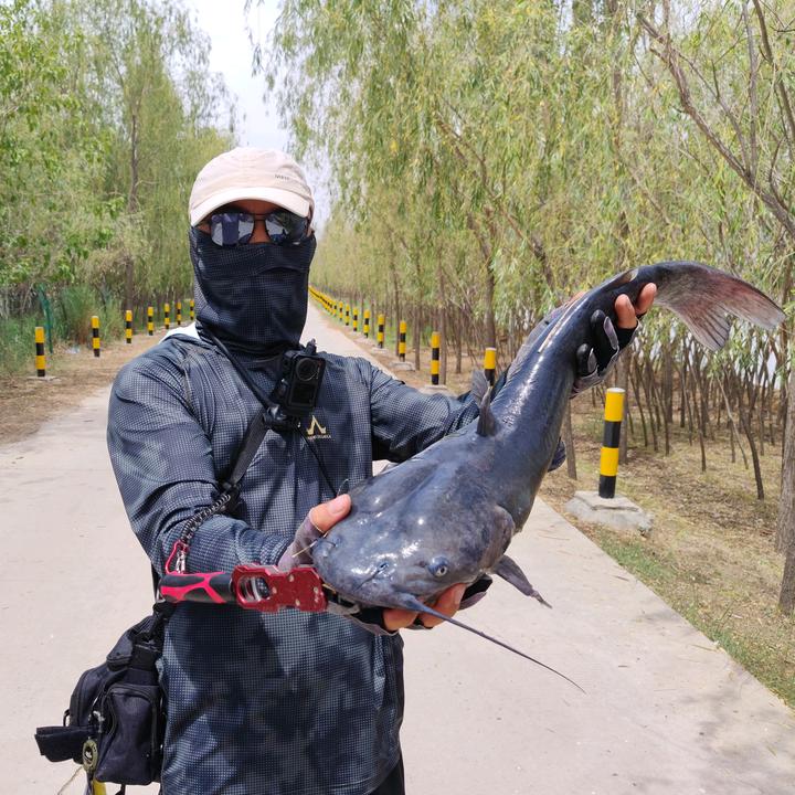 曙光🎣路不空