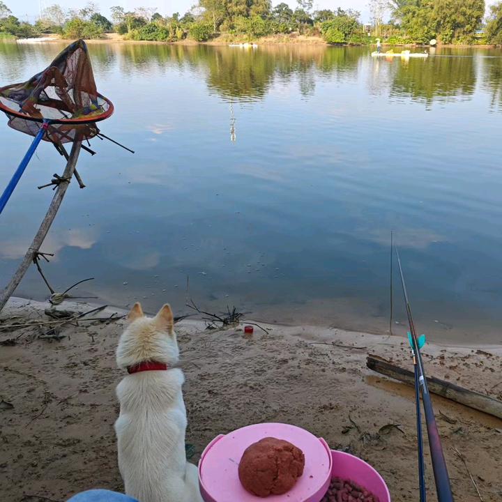 鼍城钓鱼小熊🎣