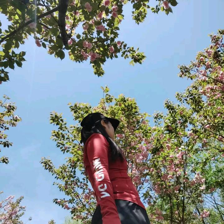 前🌻