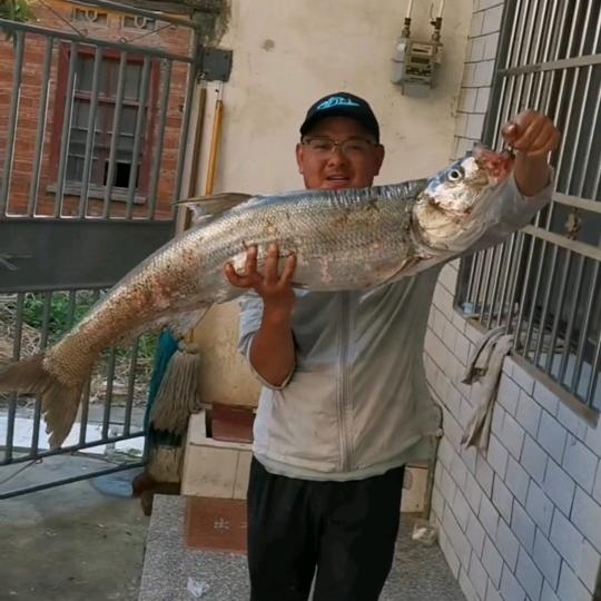 💰野钓硬核玩家🎣