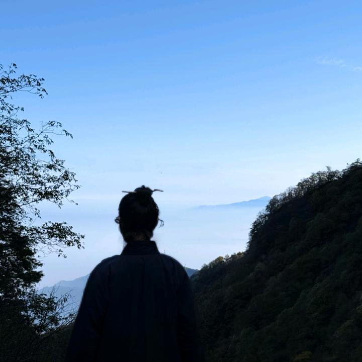 怀无