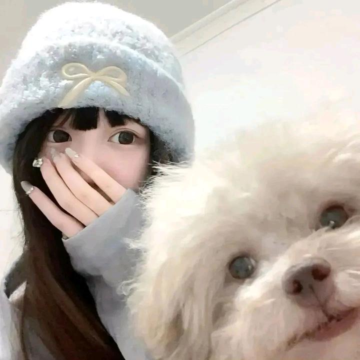 貓耳垂兔(豹猫幸福好不好)