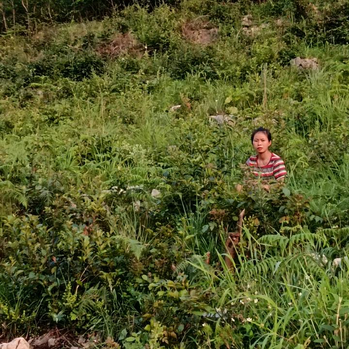 罗维同学