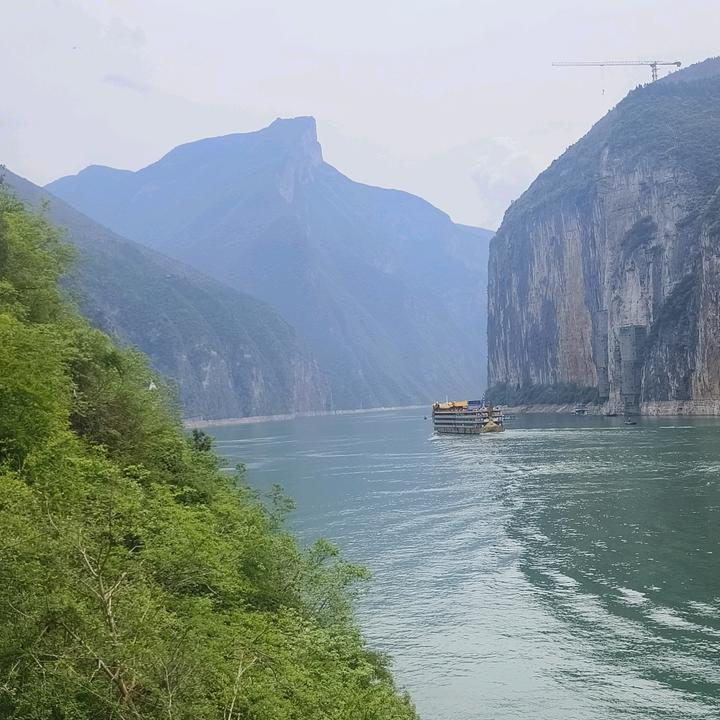 海月