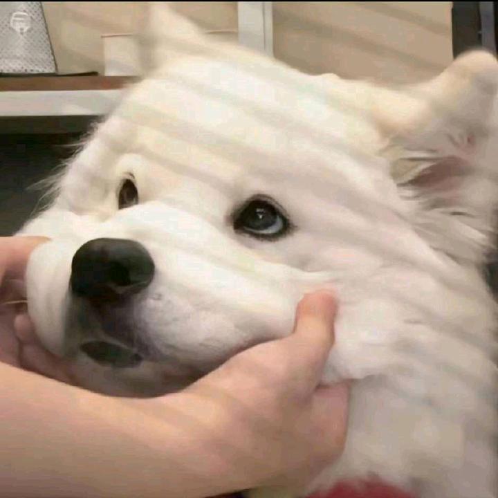 不信粉丝不过千