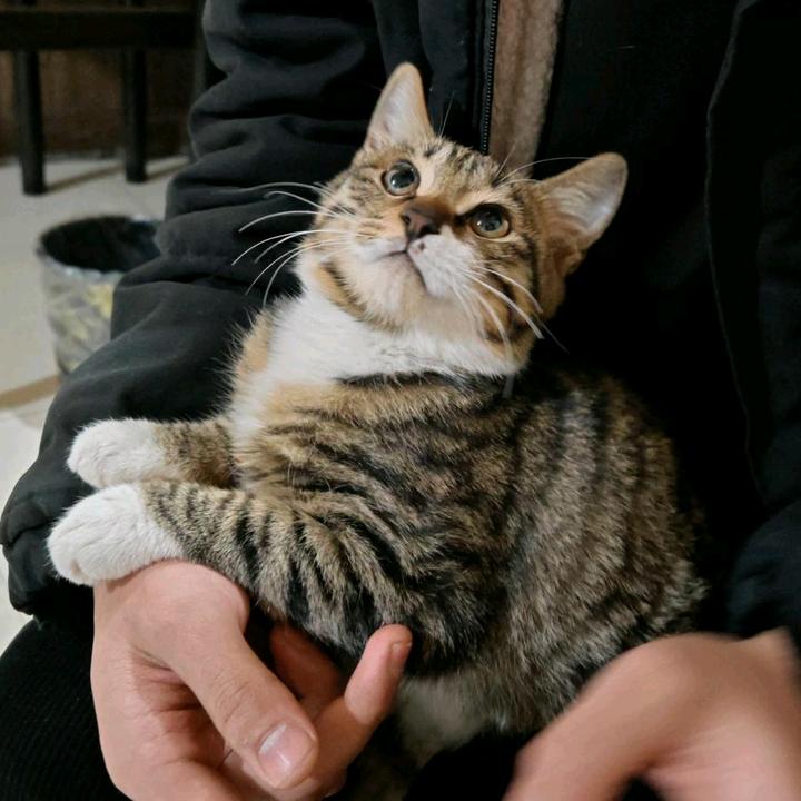 星辰小工坊