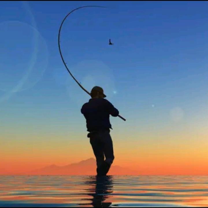 阿文海钓🎣