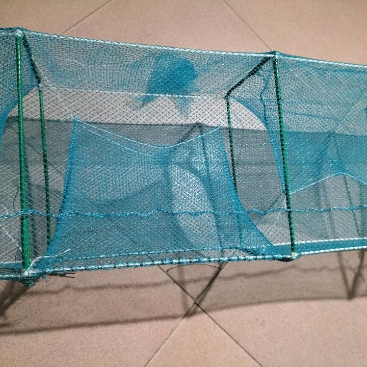 户外笼小彤