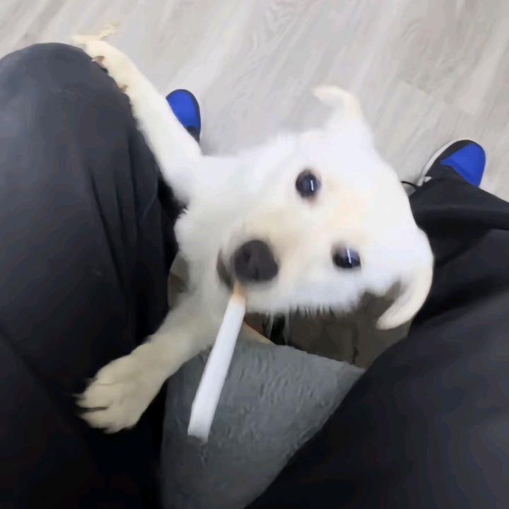 等风来