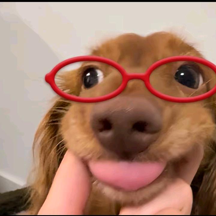 主播头像