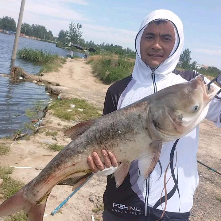 战鲢 · 小趴菜🎣