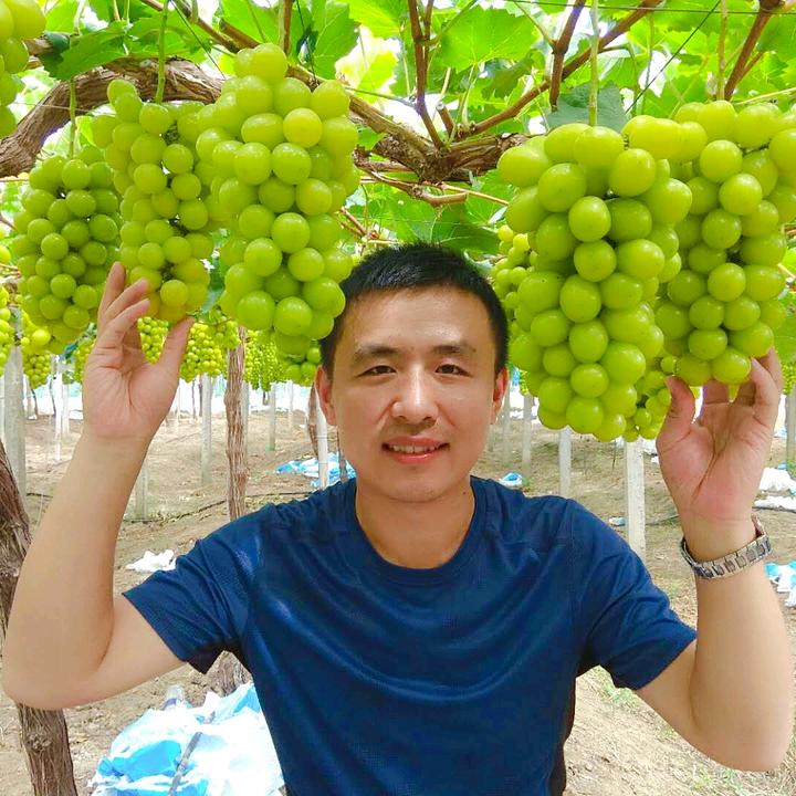 青丰健葡萄三人行-刘建强
