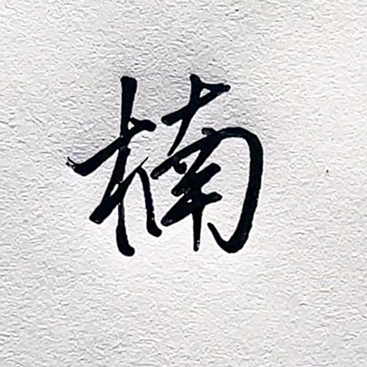 楠木生活数码（主页版）