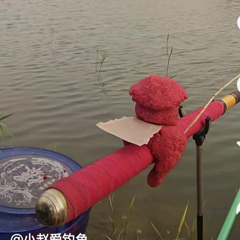 橘子探钓