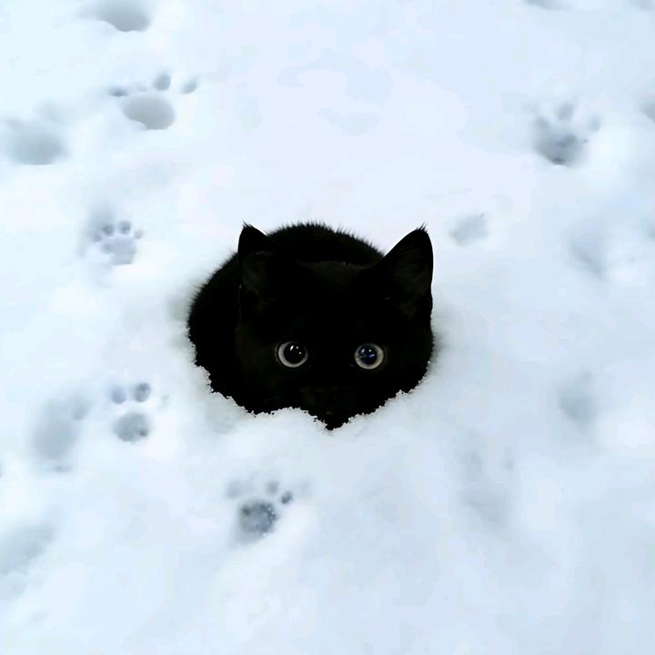 可卿🐾（6.29🎂版）