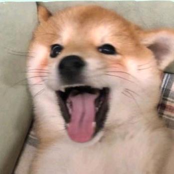 动漫群星