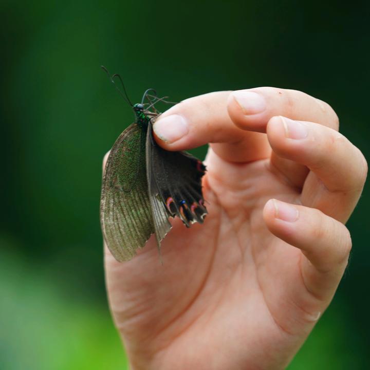 椰子姐姐爱遛娃