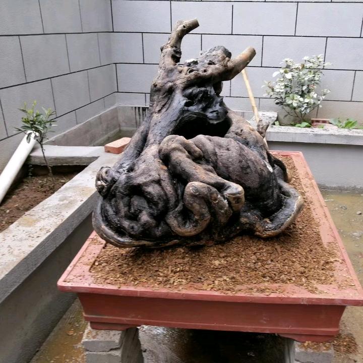 汇友圆艺