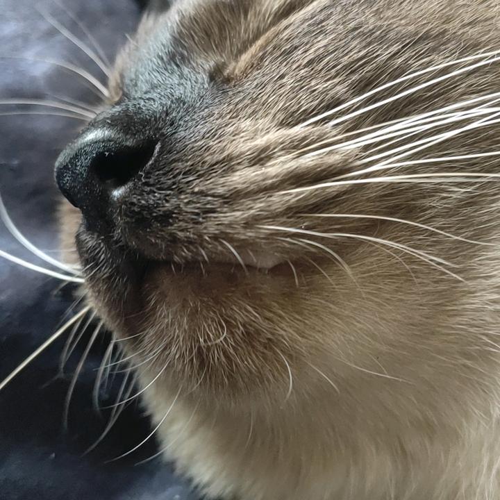 扶摇直上