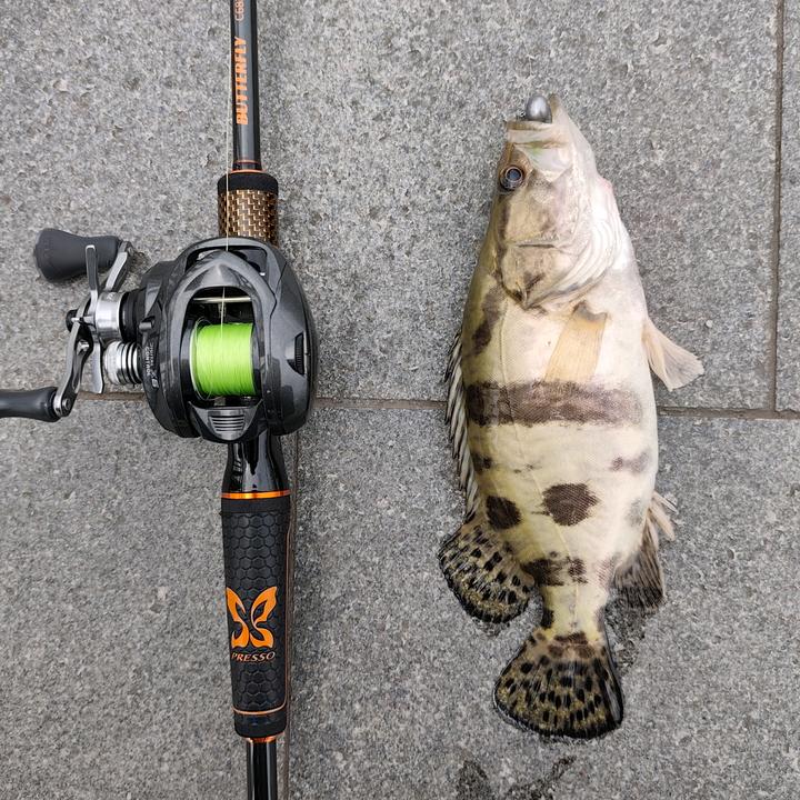 凌峰_𝑳𝒖𝒓𝒆🎣