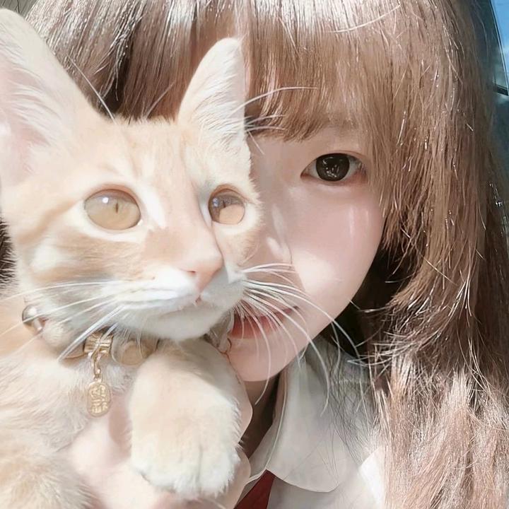 我爱早点睡丨工拒丨慢补