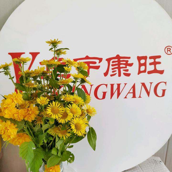 康旺鱼药源头厂家