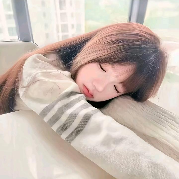 遇.🐾