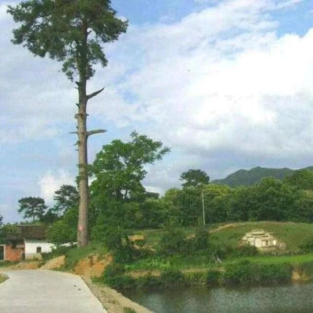 三僚易经传承人，第39代
