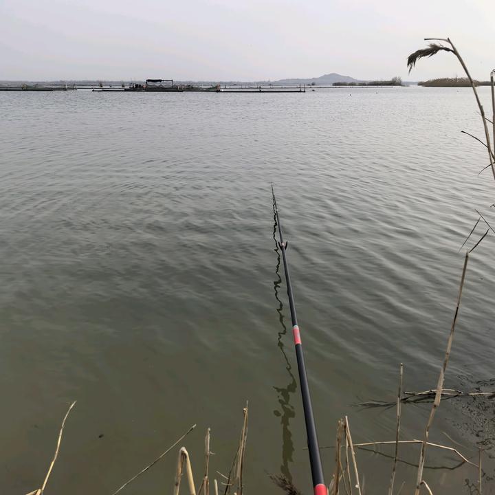 小圆哥爱钓鱼