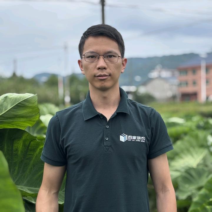 百家讲农-王汉柱讲槟榔芋种植技术