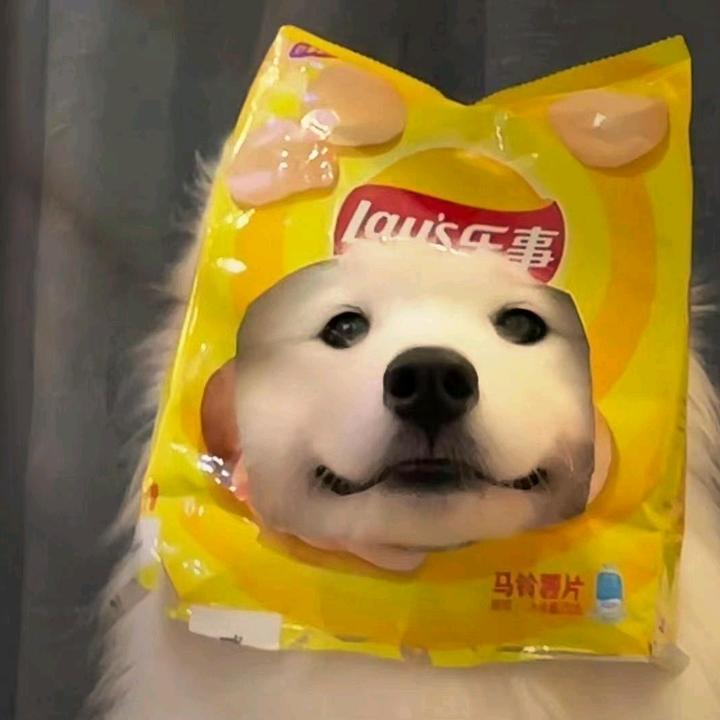 𝒬𝒾𝓃𝓰 𝒳𝓊𝒶𝓃