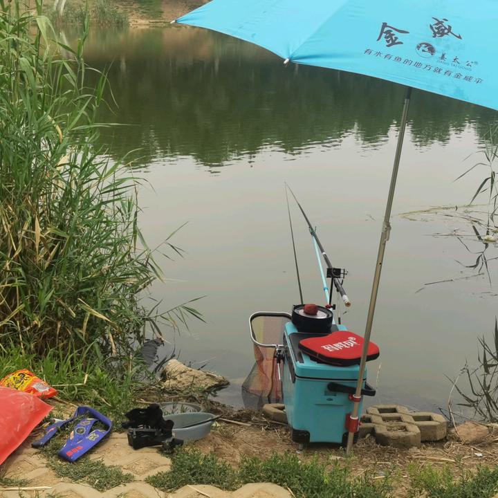 爆护大板鲫