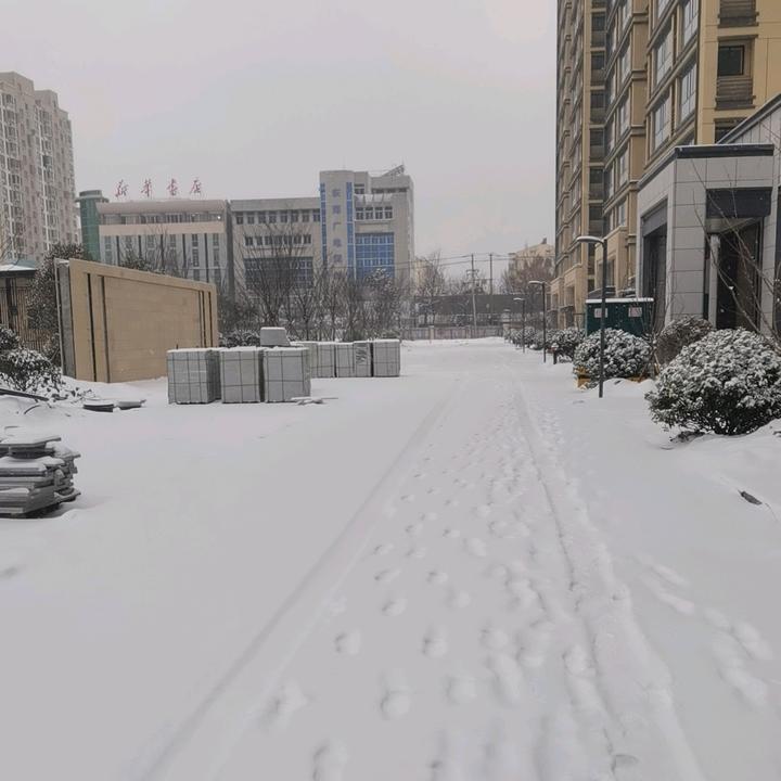 淡淡