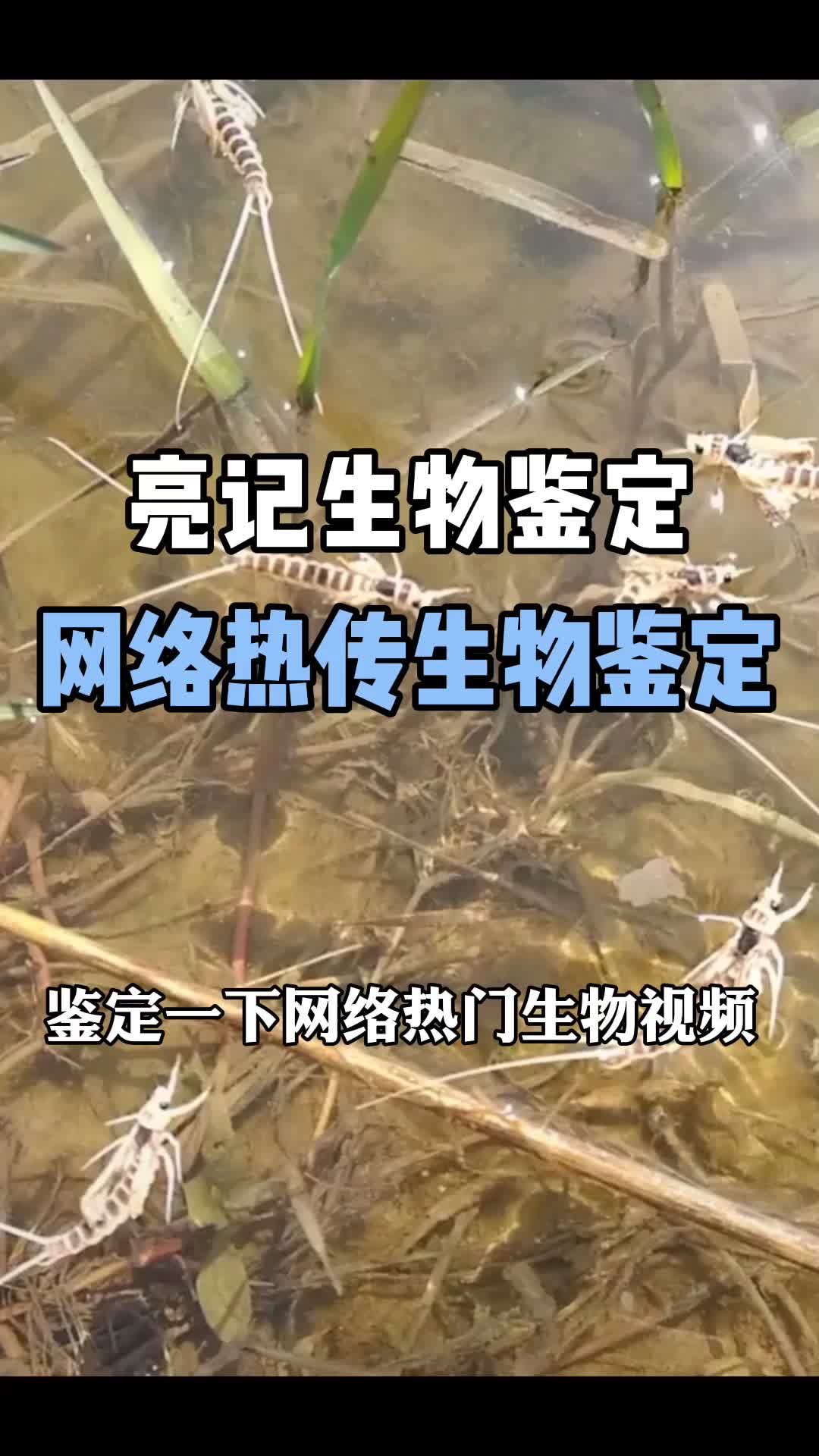合集分享