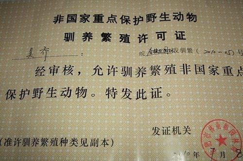 农村个人养殖都需要什么资质证书 2021年养殖蛇要什么手续？