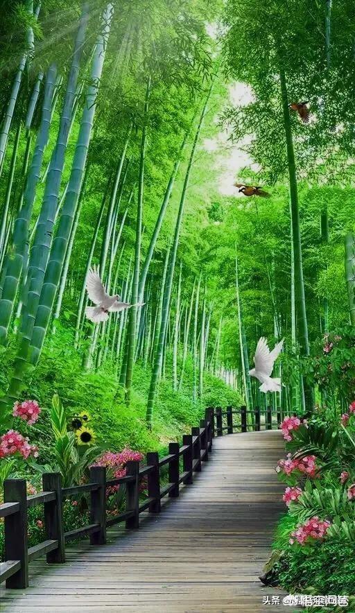 歌颂祖国的七言大全（歌颂祖国的诗歌七言）