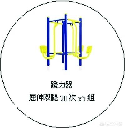 公园里有什么(公园里有什么健身器材名字)