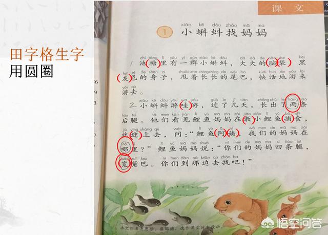 一年级上册复习卡怎么做(图6)
