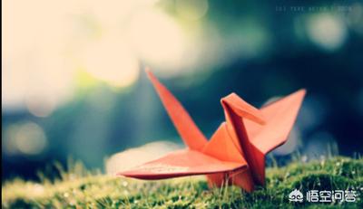 世界上最柔软的人_世界上最柔软的人类