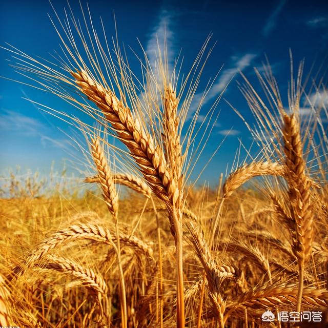 鲁北供求-鲁北供求信息网