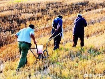 赞美辛勤劳动的诗句（赞美辛苦劳动的古诗词）