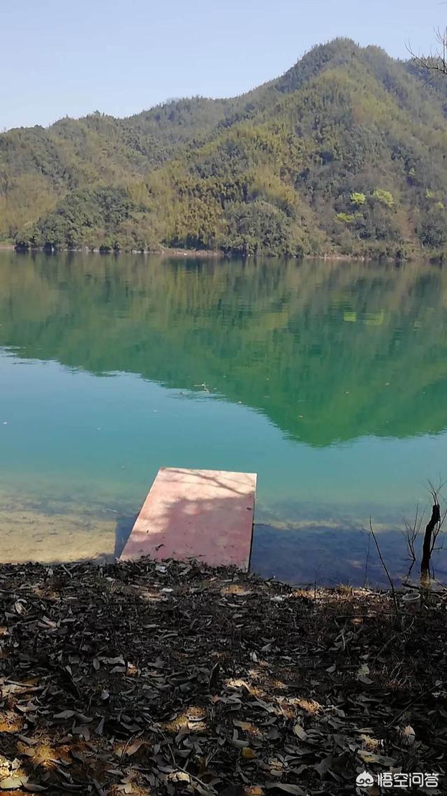 云南曲靖市麒麟区钓鱼口碑好的农家乐包吃住推荐有哪些,曲靖麒麟区免费野钓