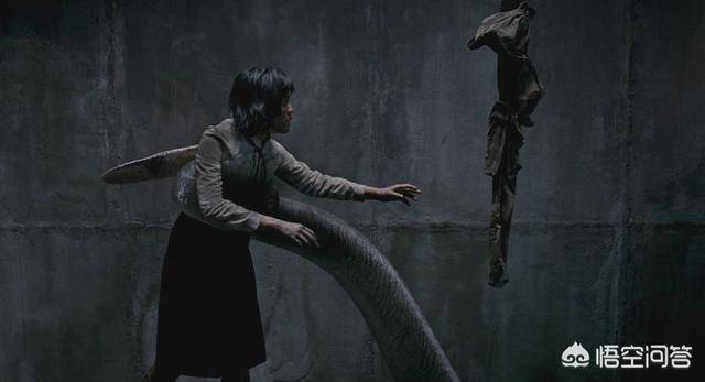 主君的太阳免费观看全集高清