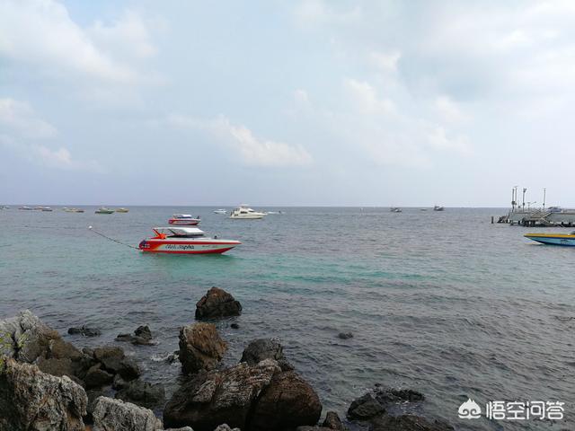 恩施土家族苗族自治州巴东县纸飞机账号购买建议