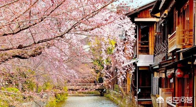 日本京都冬季适不适合去旅游